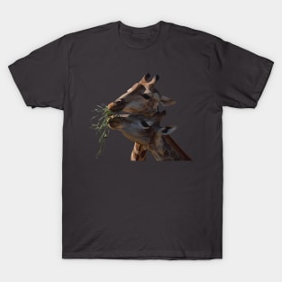 Giraffes Eating T-Shirt